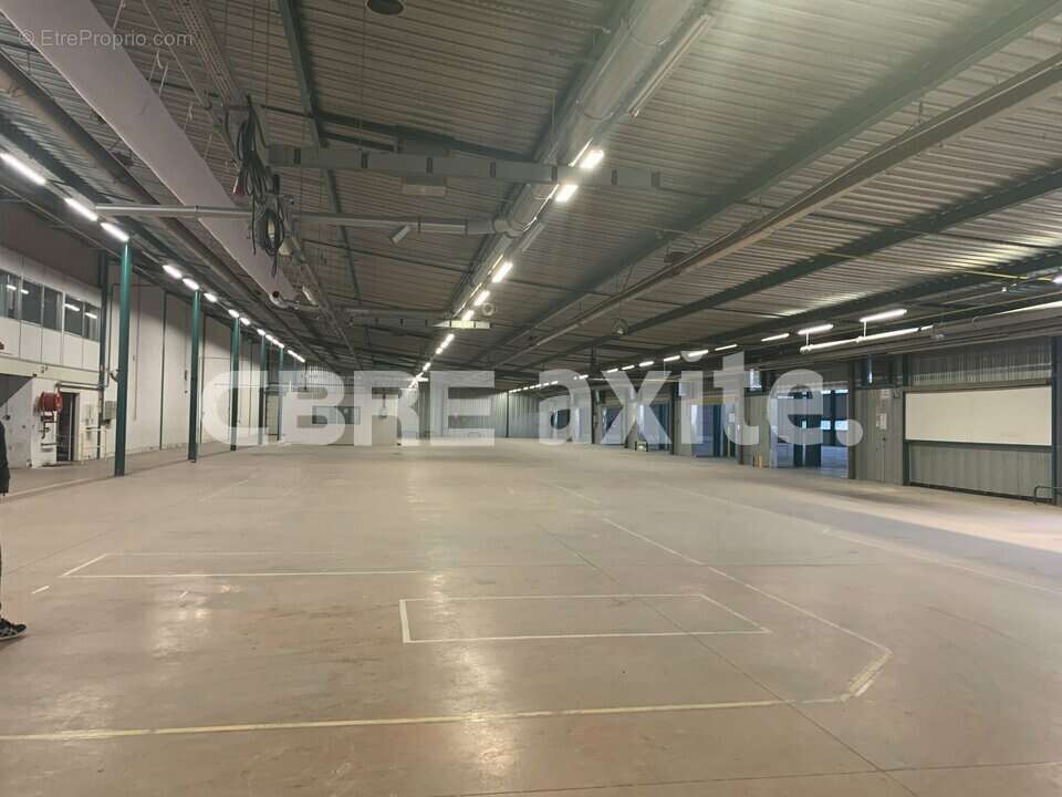 10565 m² à Marigny-Saint-Marcel  - photo 3