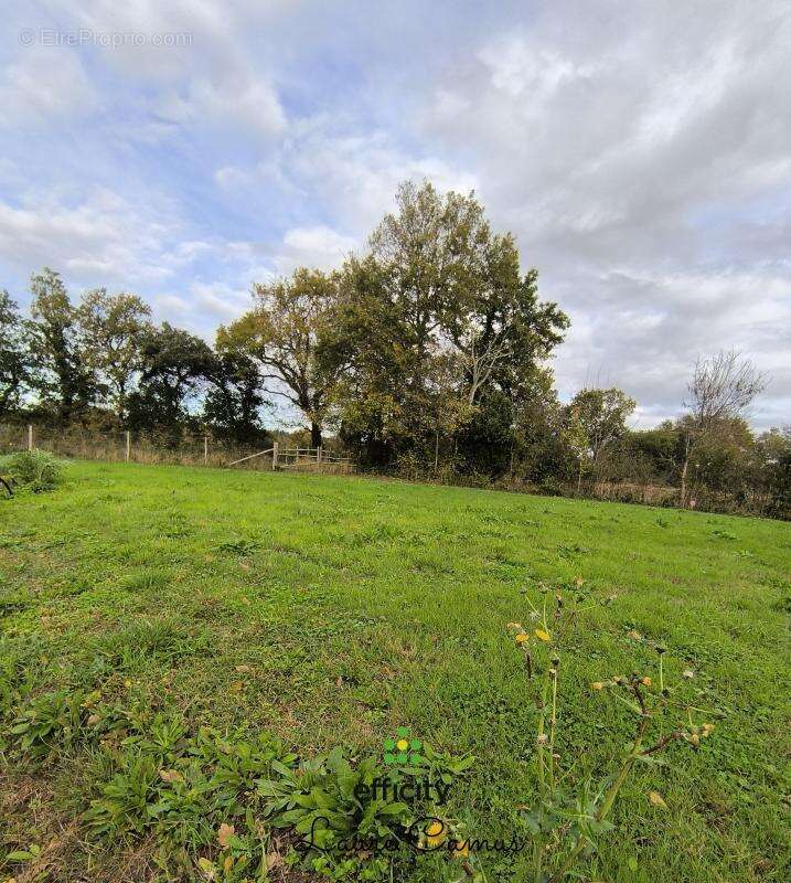 Terrain à TALMONT-SAINT-HILAIRE