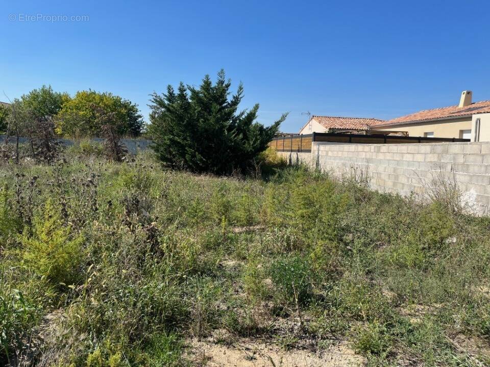 Terrain à PIERRELATTE