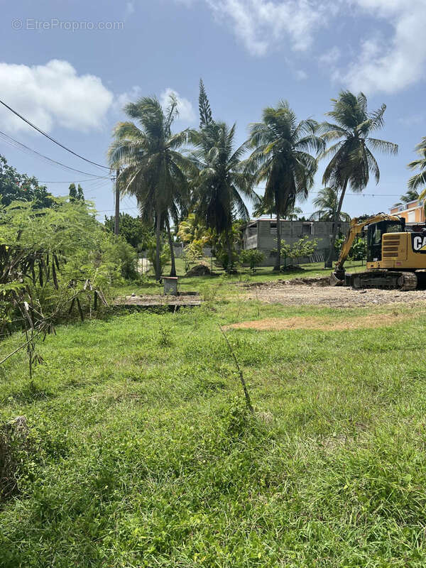 Terrain à SAINT-FRANCOIS