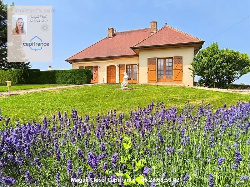 Maison à PIERRE-DE-BRESSE