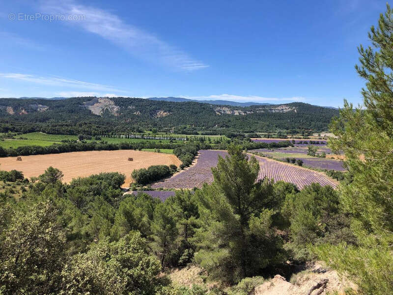 Dpt Vaucluse (84), à vendre RUSTREL terrain - photo 7