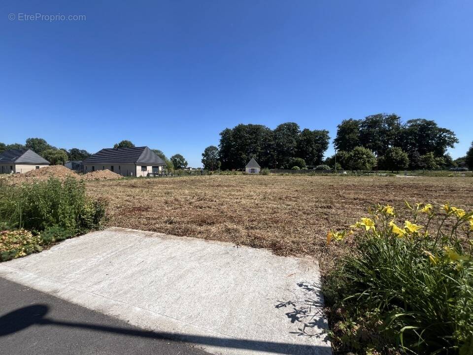 Terrain à FAUVILLE-EN-CAUX