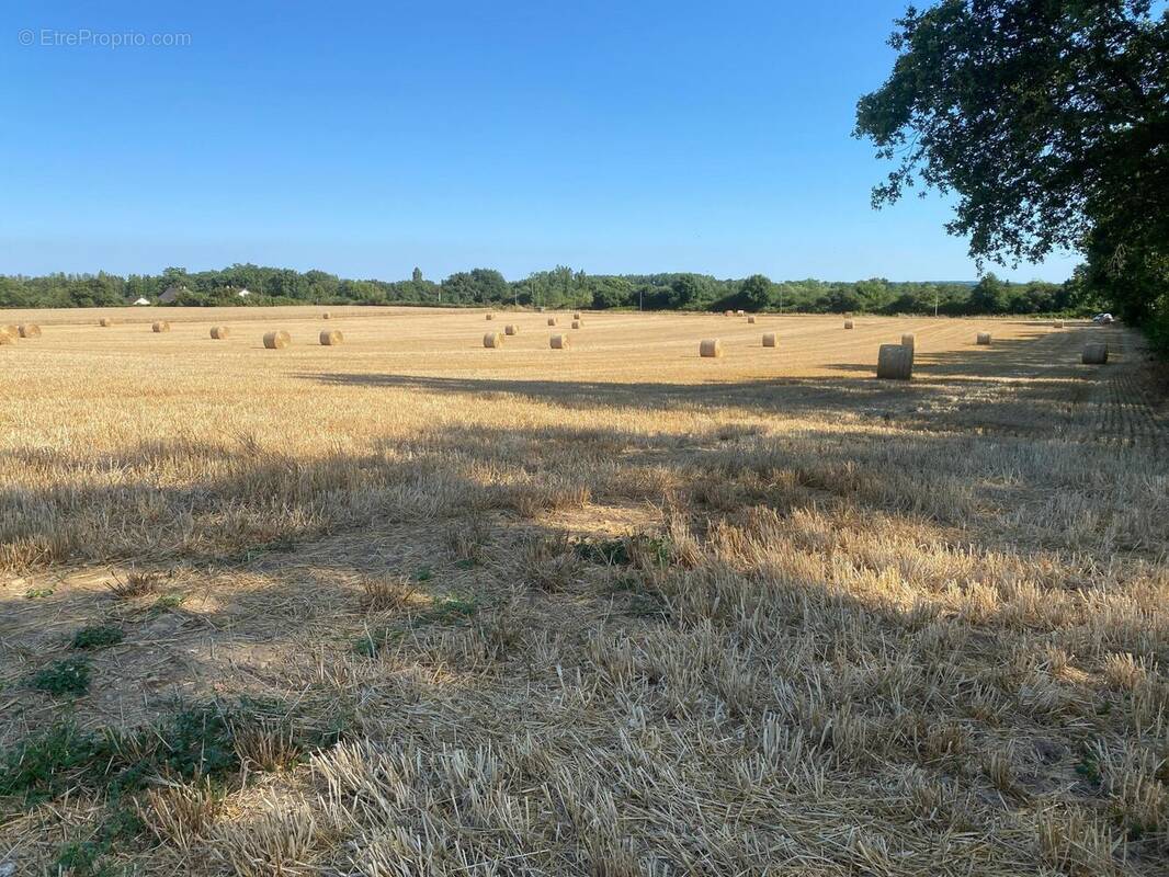 Photo 1 - Terrain à VOIVRES-LES-LE-MANS