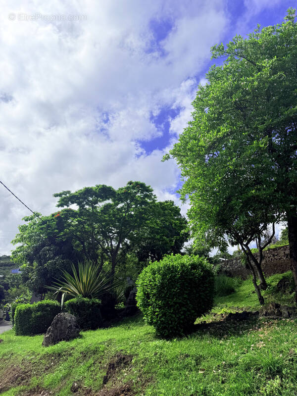 Terrain à SAINT-PAUL