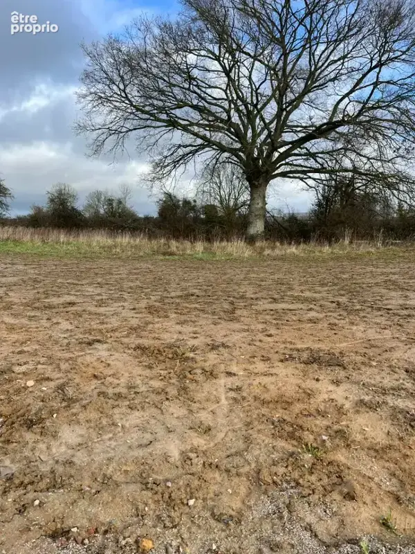 Photo Terrain à Cerise au prix de 40 020€