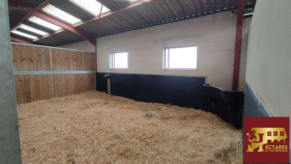 Maison à SAINT-BONNET-DE-JOUX