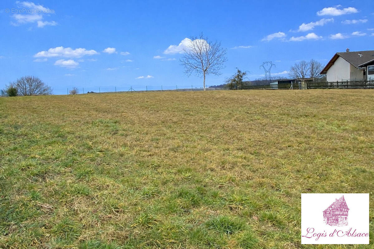 Terrain à RIESPACH