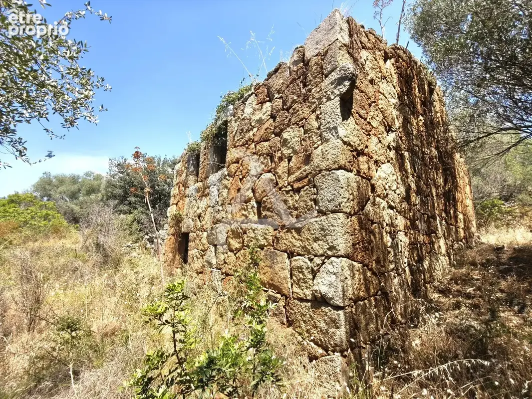 Terrain à ZONZA