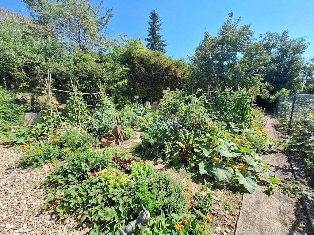 Rare à Montereau ! Maison de ville avec jardin, terrasse & 4 chambres : le coup de cœur garanti ! - photo 3