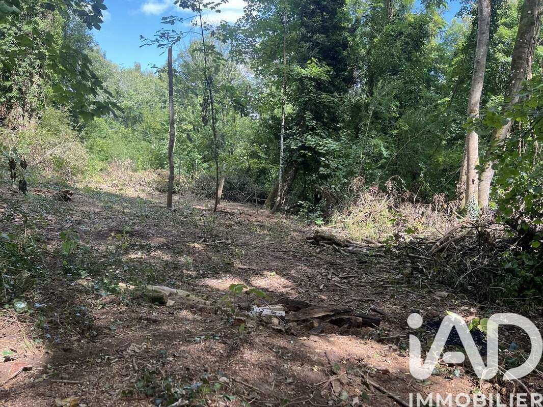 Photo 2 - Terrain à PONT-A-MOUSSON