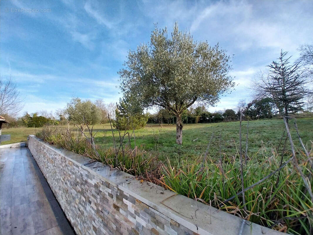 Maison à VOUNEUIL-SOUS-BIARD