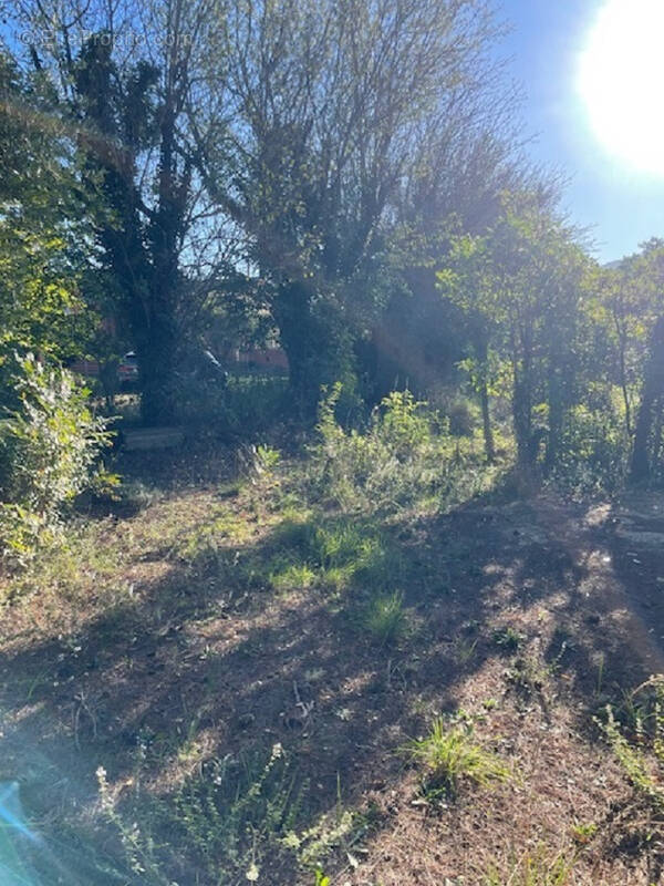 Terrain à PLAN-D&#039;AUPS-SAINTE-BAUME