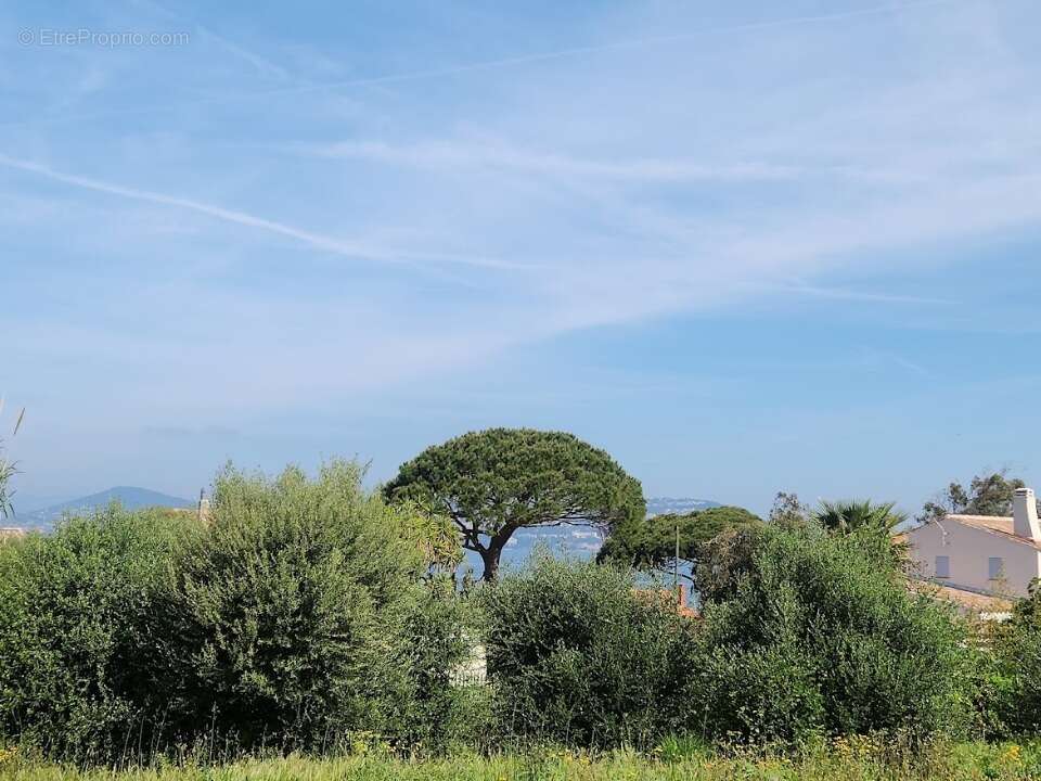 Terrain 850 m² à Hyeres  - photo 2