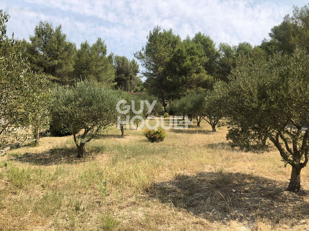 Maison Tarascon dans la garrigue sur 3205 m² - photo 2