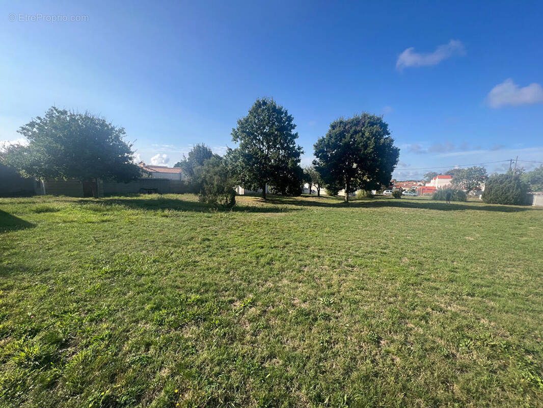 Terrain à LES SABLES-D'OLONNE
