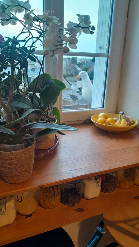 Appartement à LE CROISIC