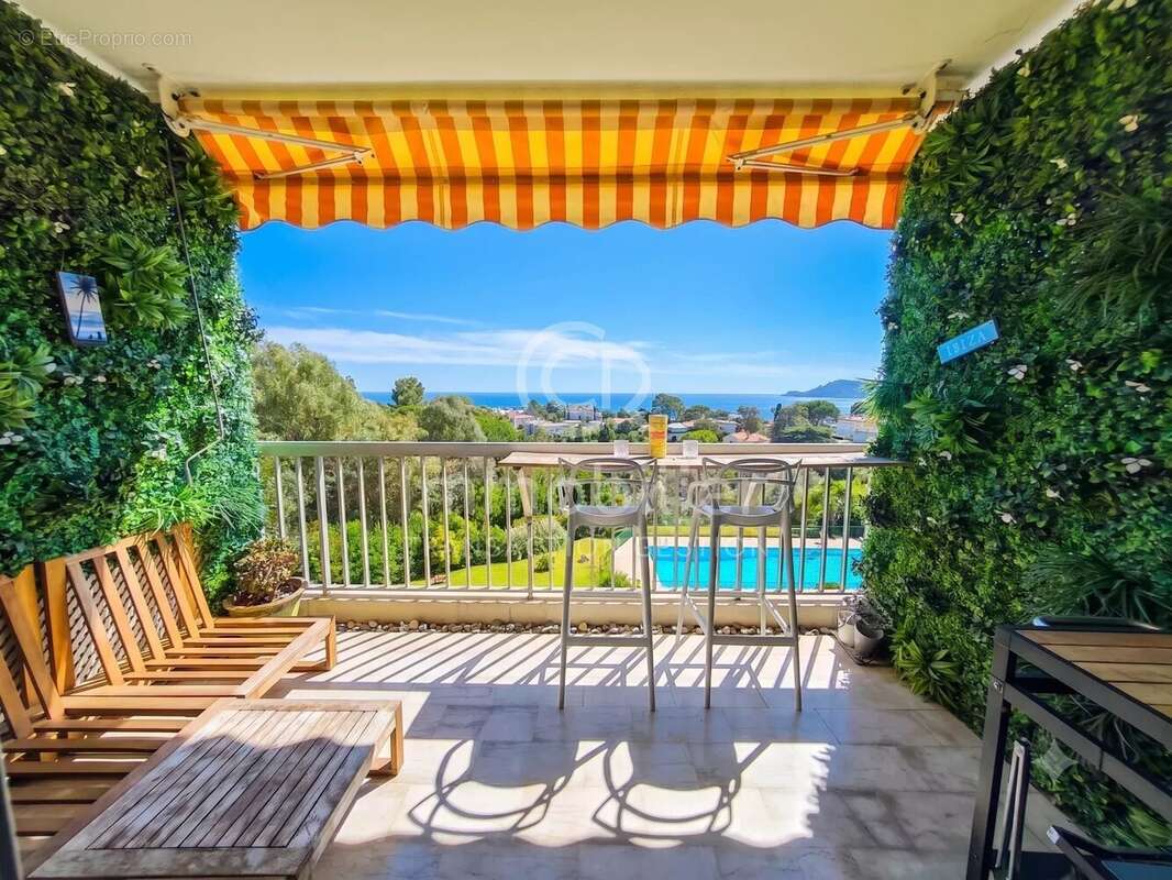 Cannes croix des gardes - residence de standing - photo 3
