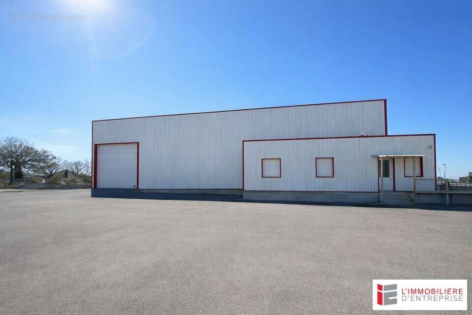Local d'activite a vendre - photo 3