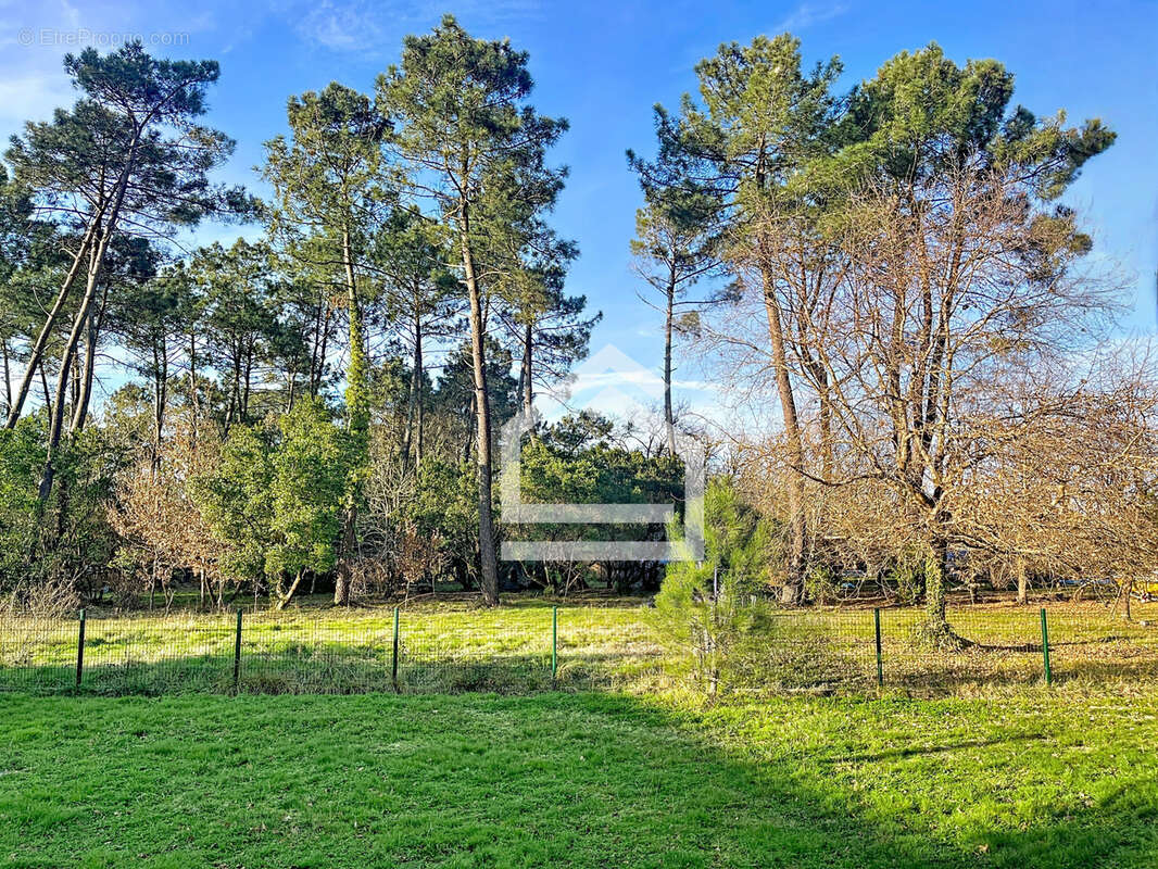 LEGE-CAP-FERRET Maison traditionnelle de 120m2 sur Grand Terrain Divisible de 2000m2, Piscine, Proximité Forêt - photo 3