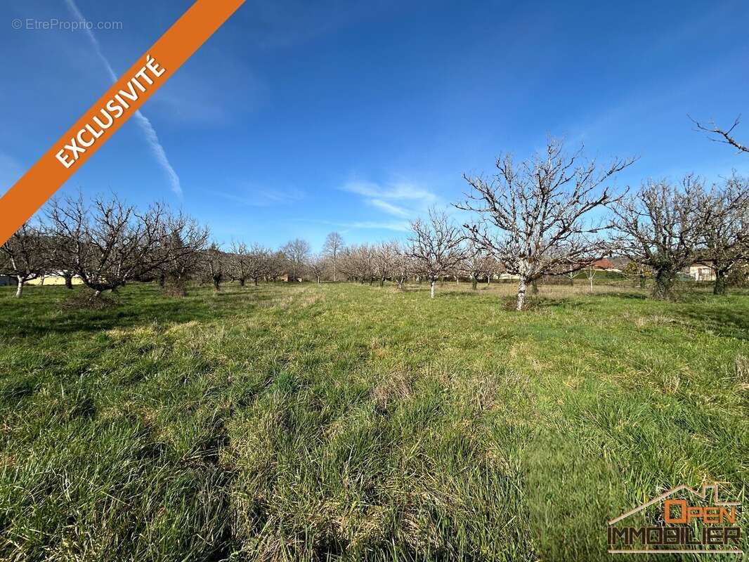 Maison à SAINT-JULIEN-DE-LAMPON