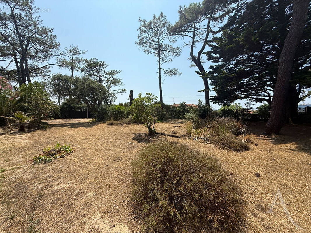 Terrain à VIEUX-BOUCAU-LES-BAINS