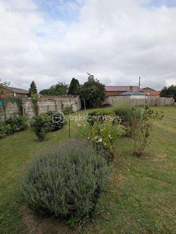 Maison à DOMPIERRE-BECQUINCOURT