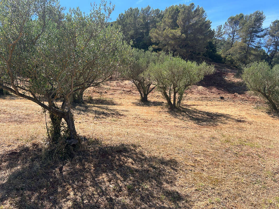 Terrain à GONFARON