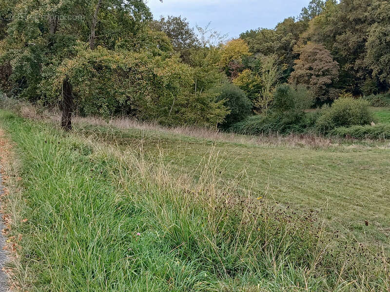 Terrain à SAINT-GENES-DE-LOMBAUD