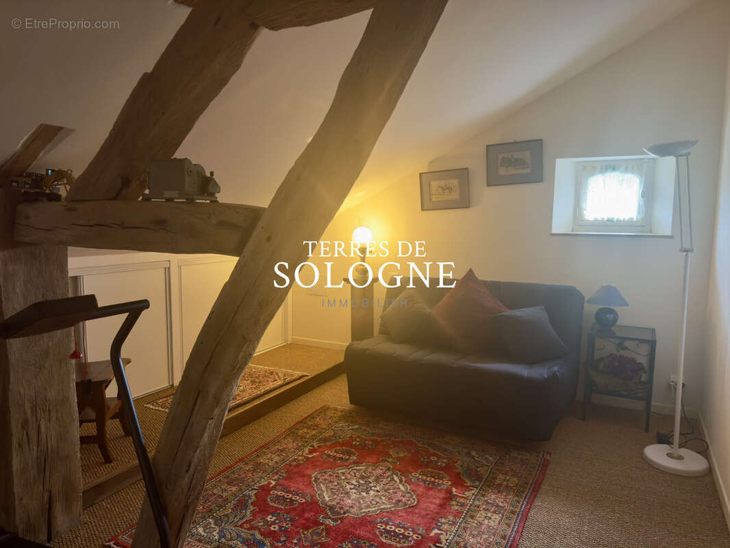 Maison à CHAUMONT-SUR-THARONNE