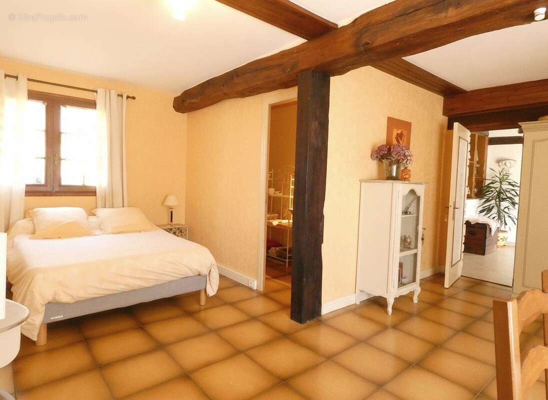 Maison 202 m² à Ouzouer-Sur-Loire  - photo 5