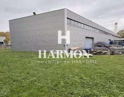 Commerce à TOULOUSE