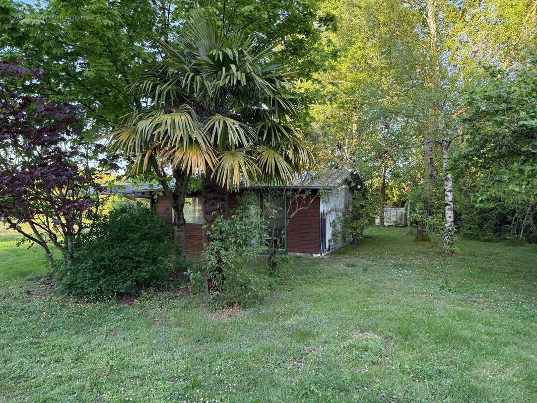 Terrain 5250 m² à Thorigne-D'anjou  - photo 2