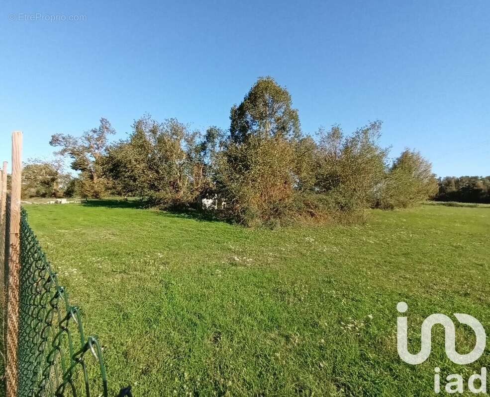 Photo 3 - Maison à CHATEAUVIEUX