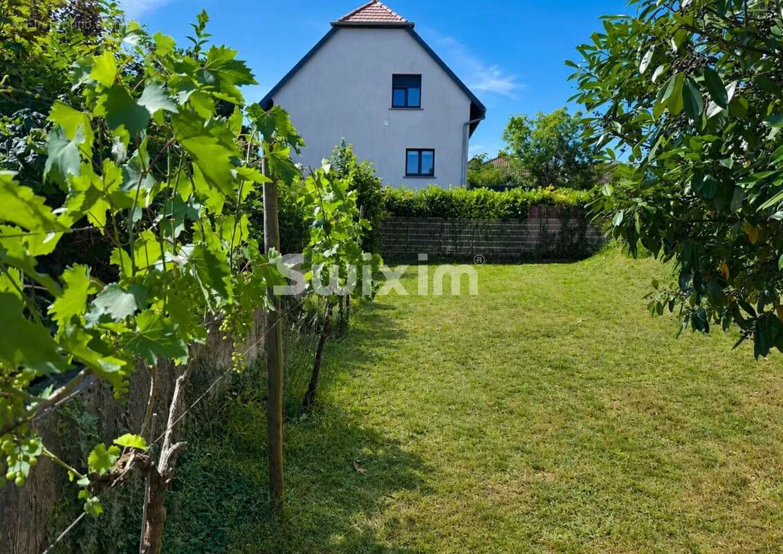 Maison de plain-pied surélevée à rénover – Eguisheim - photo 15