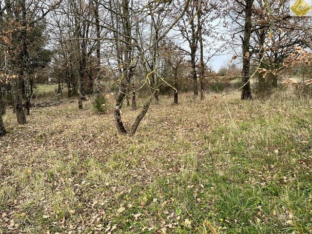 Terrain à YZEURES-SUR-CREUSE