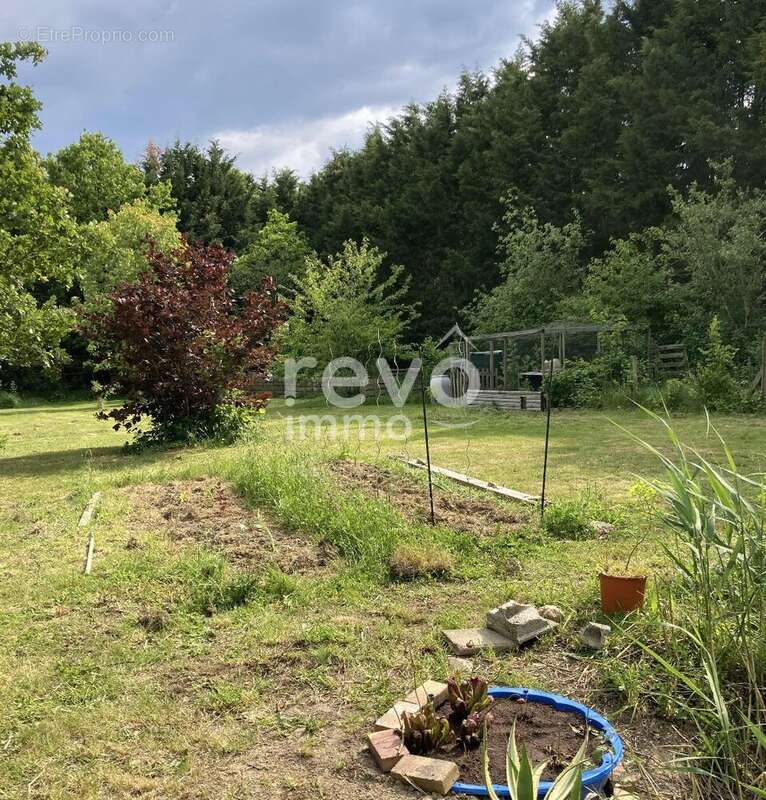 Maison à LA CHEVROLIERE