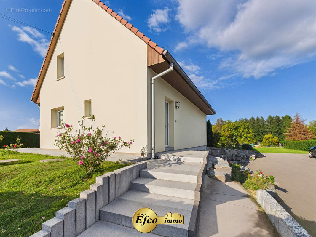 Terrain à DIEFMATTEN