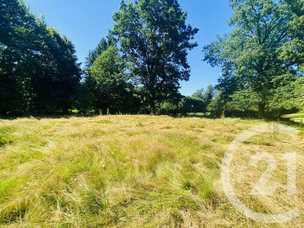 Maison 133 m² à Dommartin-Les-Cuiseaux  - photo 17