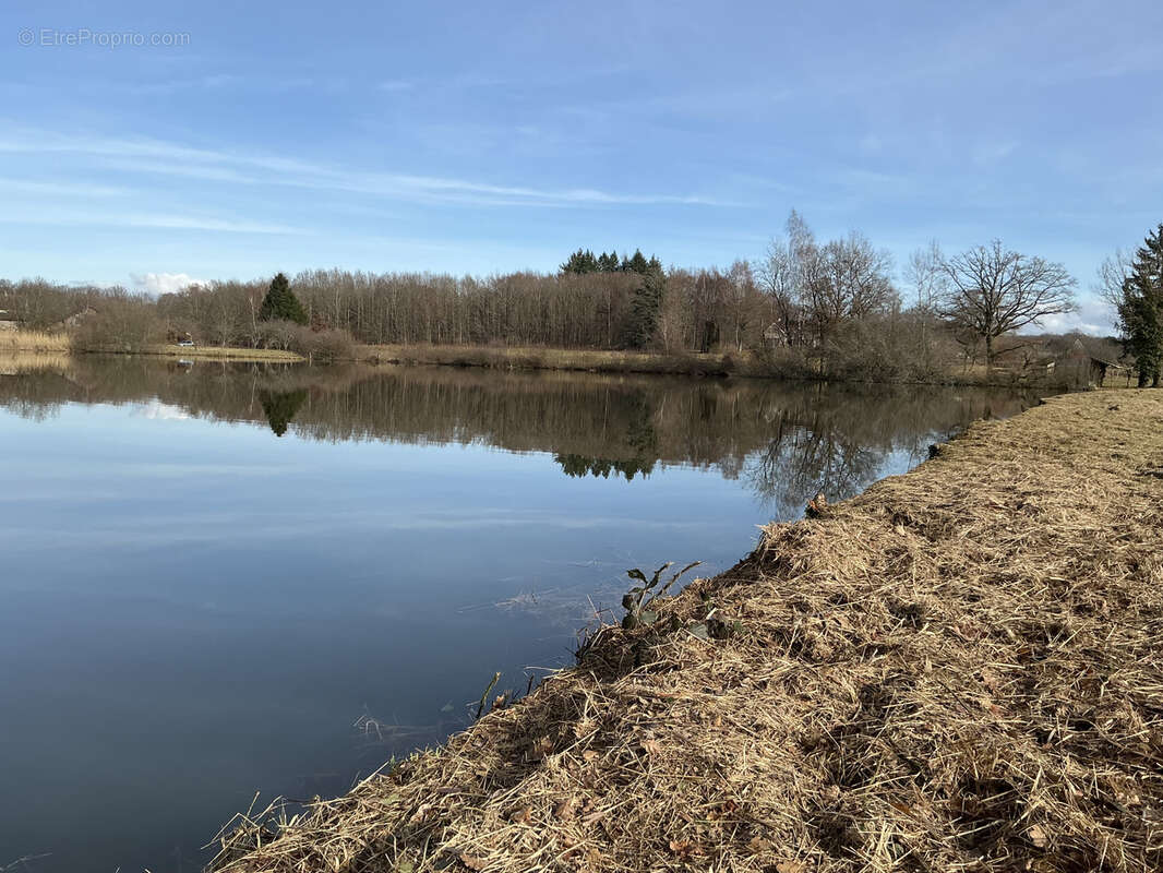 Terrain à MAGNIVRAY