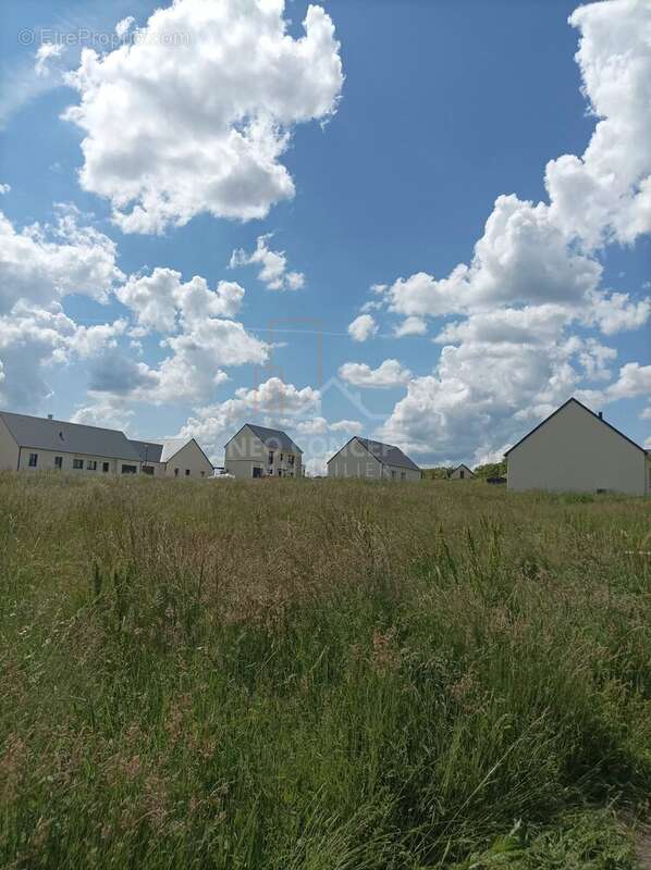 Terrain à AZAY-SUR-CHER