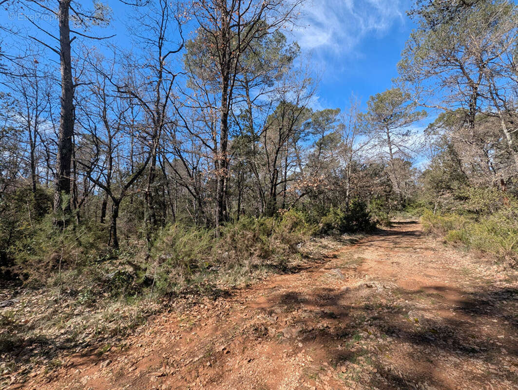Terrain à NANS-LES-PINS