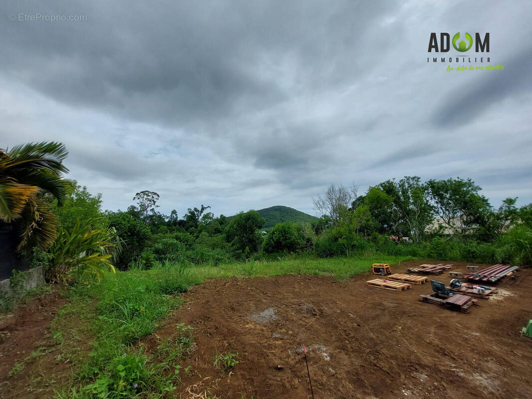 Terrain à SAINT-PIERRE