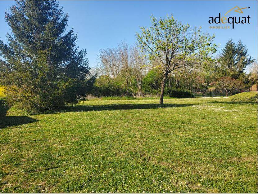 Terrain à CHAMPNIERS