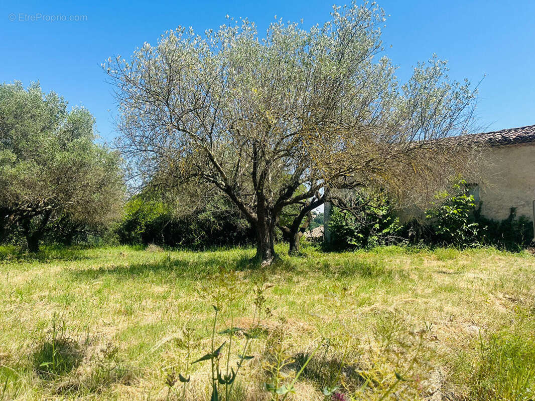 Remise en pierres 82m2 a rénover sur 1901m2 de terrain prés de Goudargues - photo 3