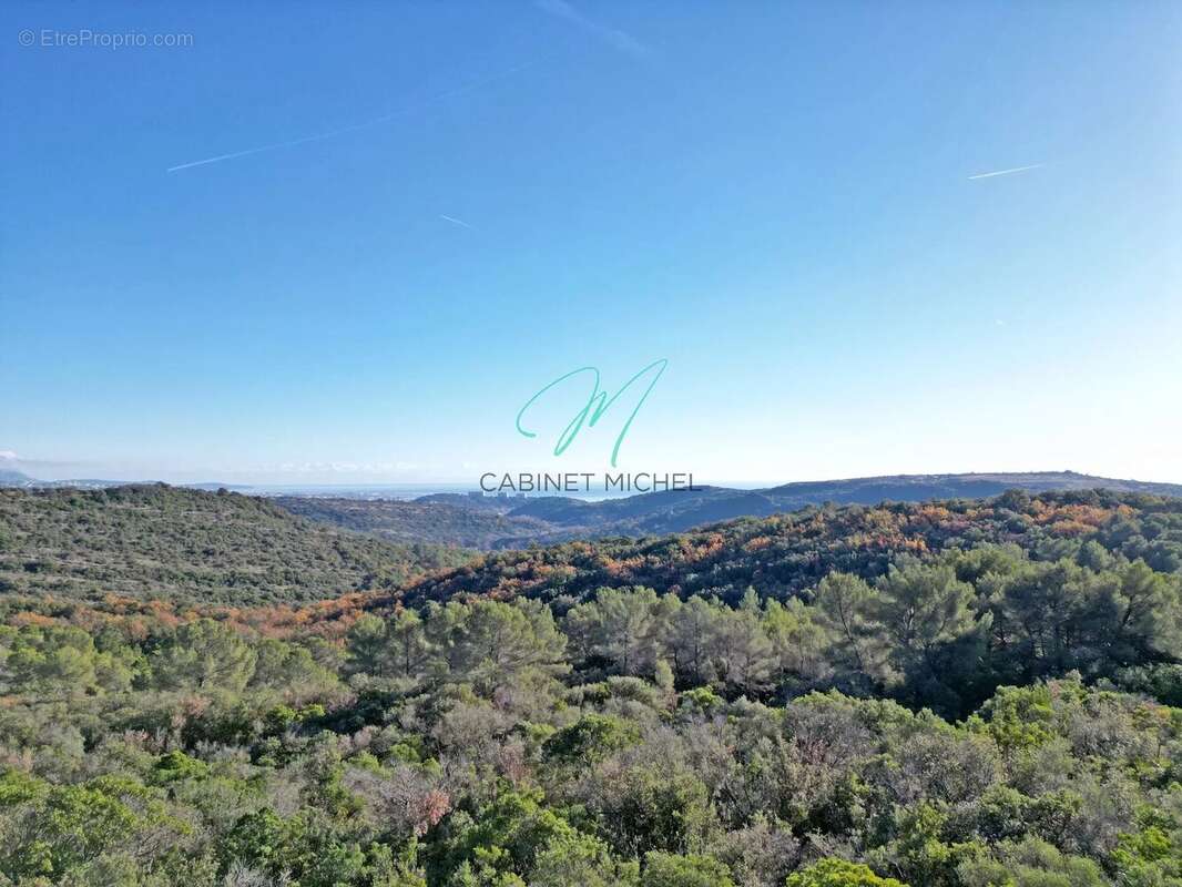 Maison à ROQUEFORT-LES-PINS