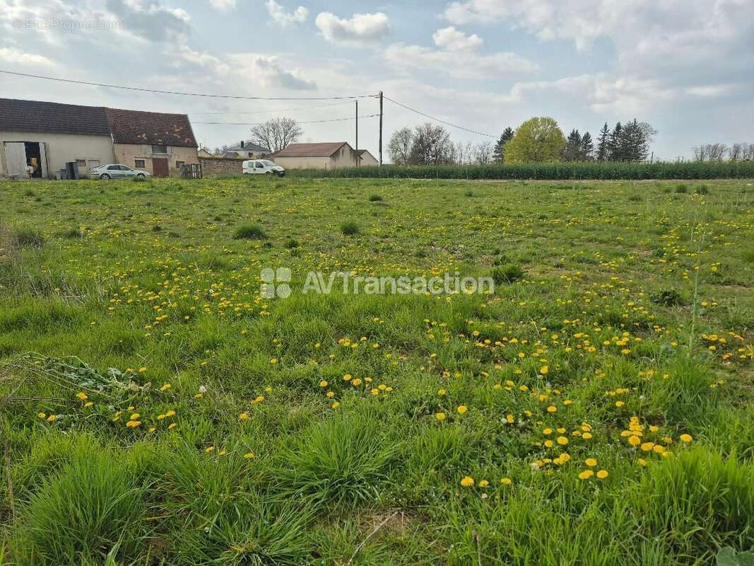Terrain 997 m² à Mirebeau-Sur-Beze  - photo 3