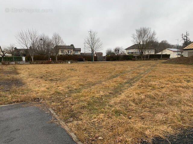 Terrain à NAUCELLES