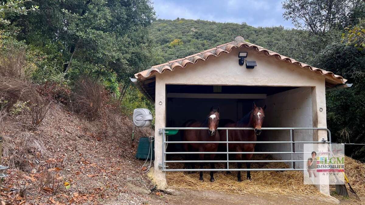 Maison à SOUDORGUES