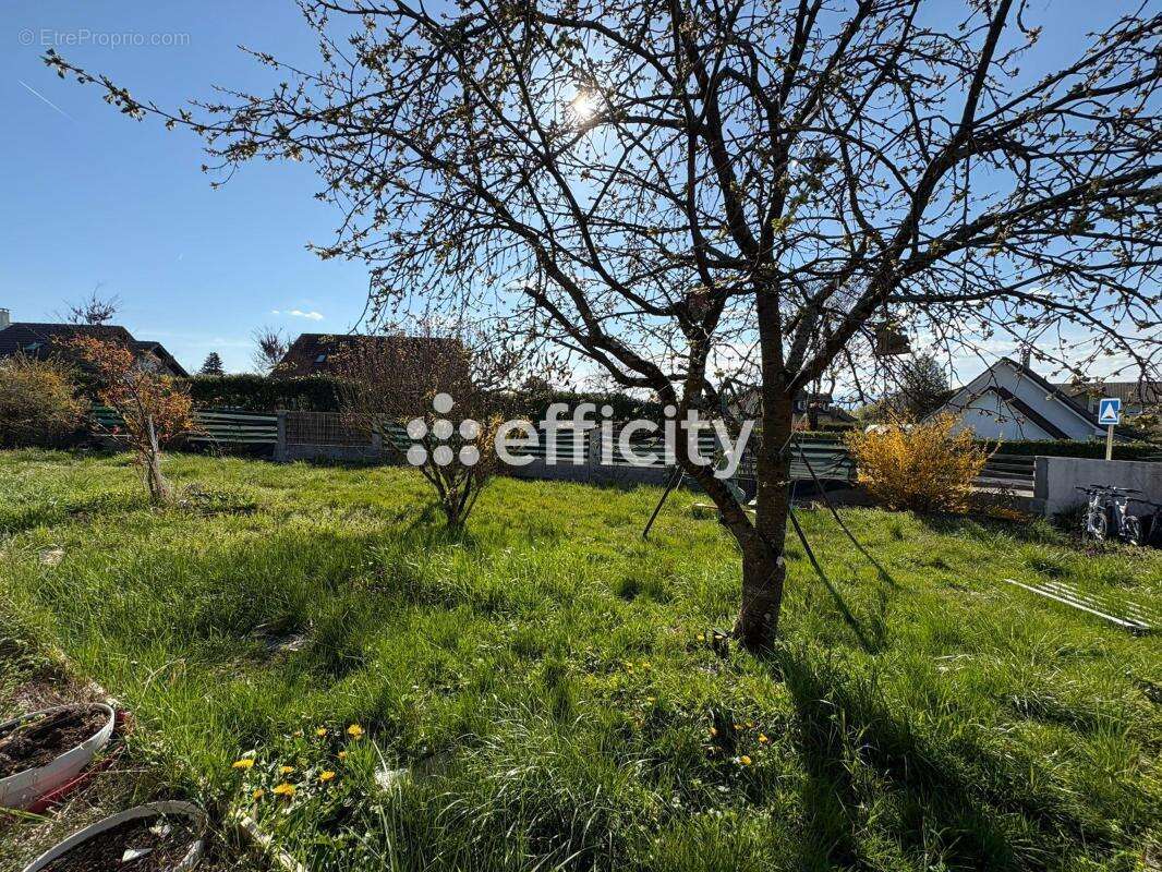Maison à VEIGY-FONCENEX
